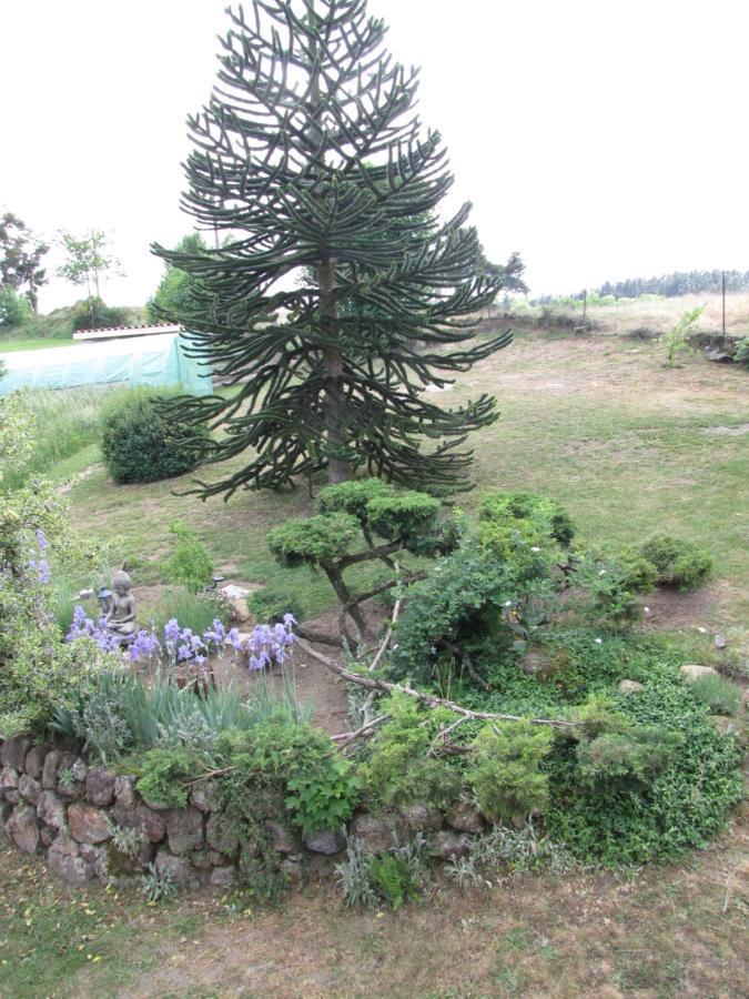 Chez Sophie Et Gilles Panzió Monistrol-sur-Loire Kültér fotó