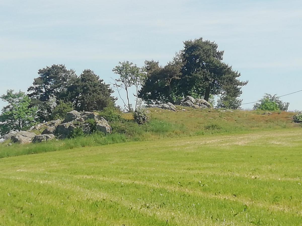 Chez Sophie Et Gilles Panzió Monistrol-sur-Loire Kültér fotó