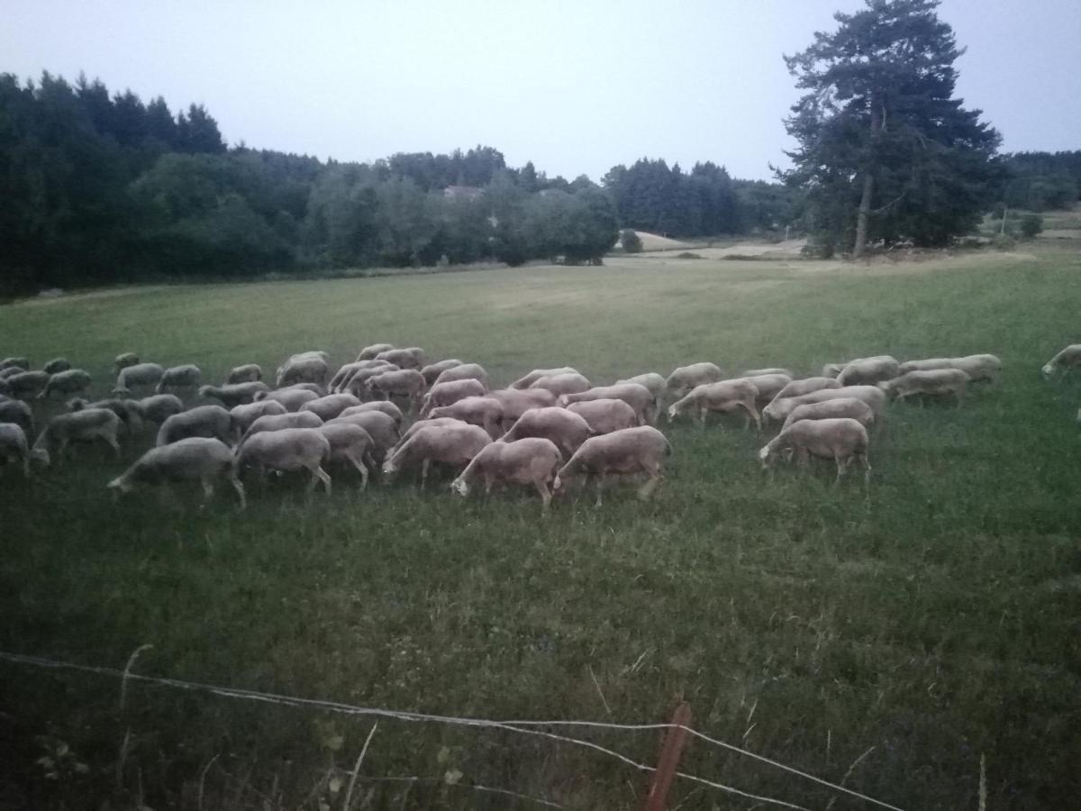 Chez Sophie Et Gilles Panzió Monistrol-sur-Loire Kültér fotó